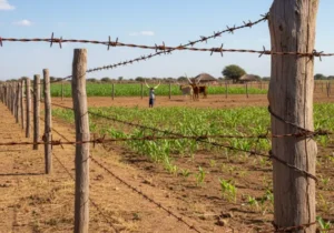 Barbwire Farm Fence
